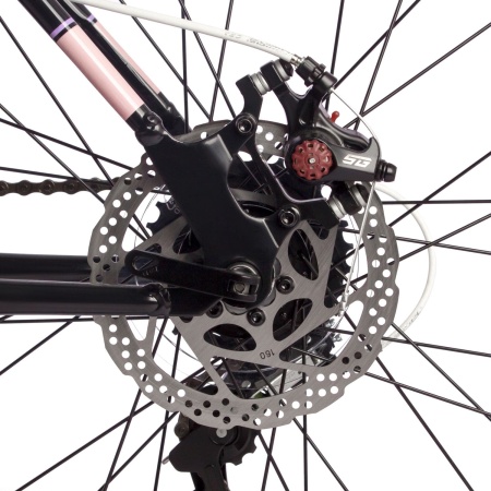 26SHD.LATINA.15WH4 8