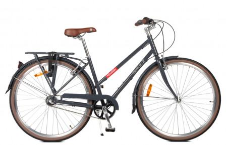 Велосипед SHULZ Roadkiller Lady Cr-Mo 3S (450/S grey/серый) фото большое