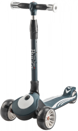 Самокат TT Buggy Самокат TT Buggy фото большое