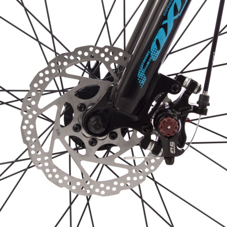 29SHD.CAIMAN.22LM4 7